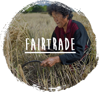 teaser fairtrade